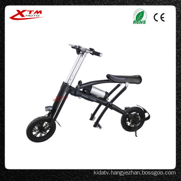 Mini Folding Bike 36V 250W/350W China Electric Bicycle
